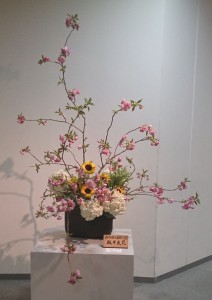 板井　爽花