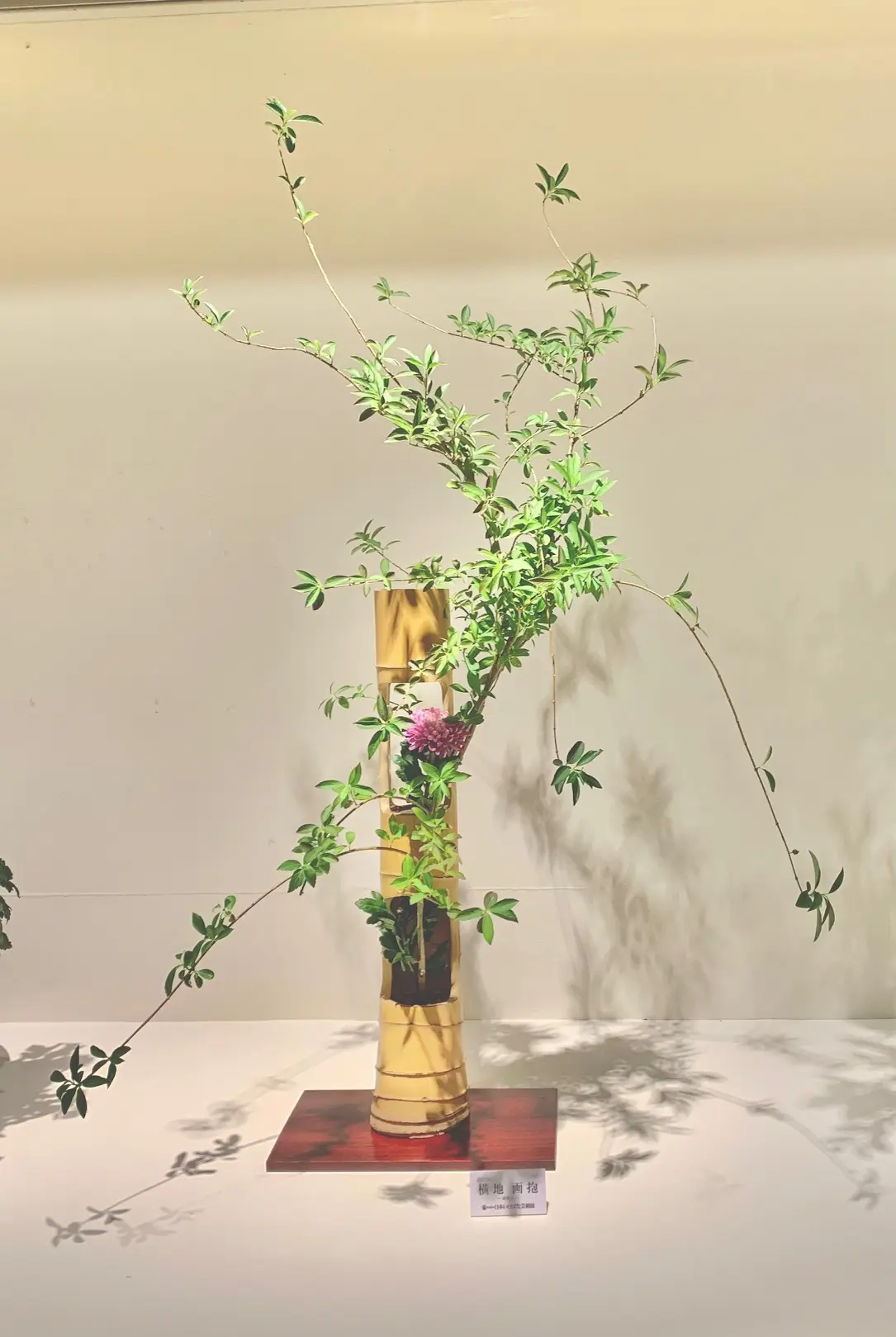 日本いけばな芸術展」（日本橋髙島屋）相阿彌流家元作品ご紹介 | 華道