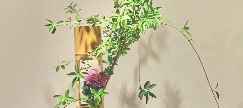 日本いけばな芸術展」（日本橋髙島屋）相阿彌流家元作品ご紹介 | 華道