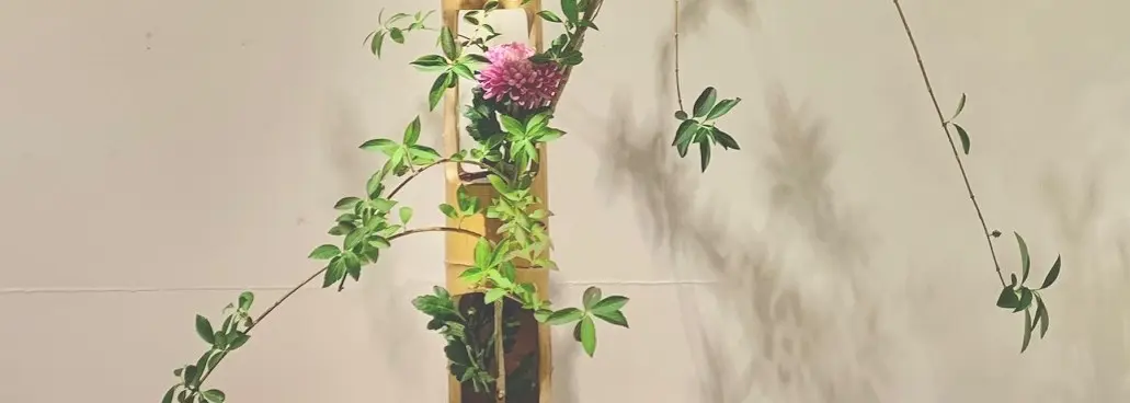 日本いけばな芸術展」（日本橋髙島屋）相阿彌流家元作品ご紹介 | 華道