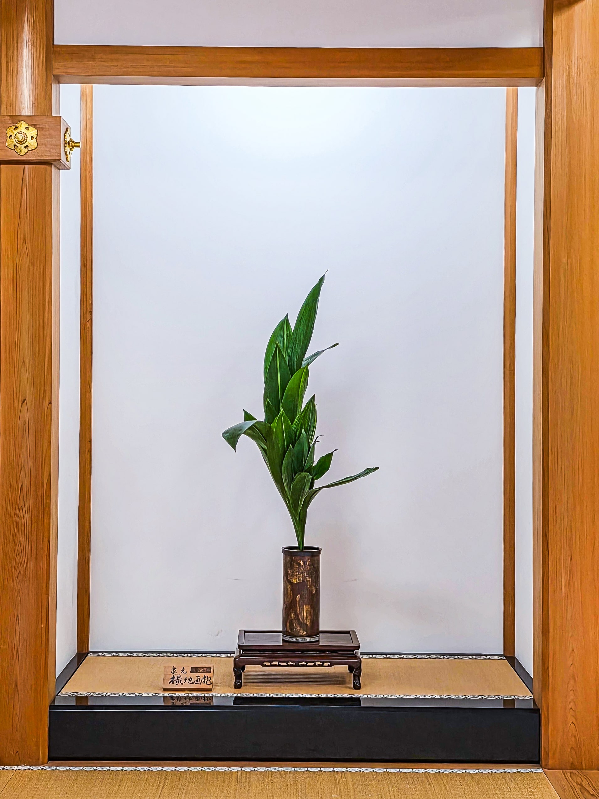 華道相阿彌流『開祖相阿彌眞相没後500年記念華展』展示風景:松嶺院本堂のご本尊様左手に展示された、家元・横地画抱の作品