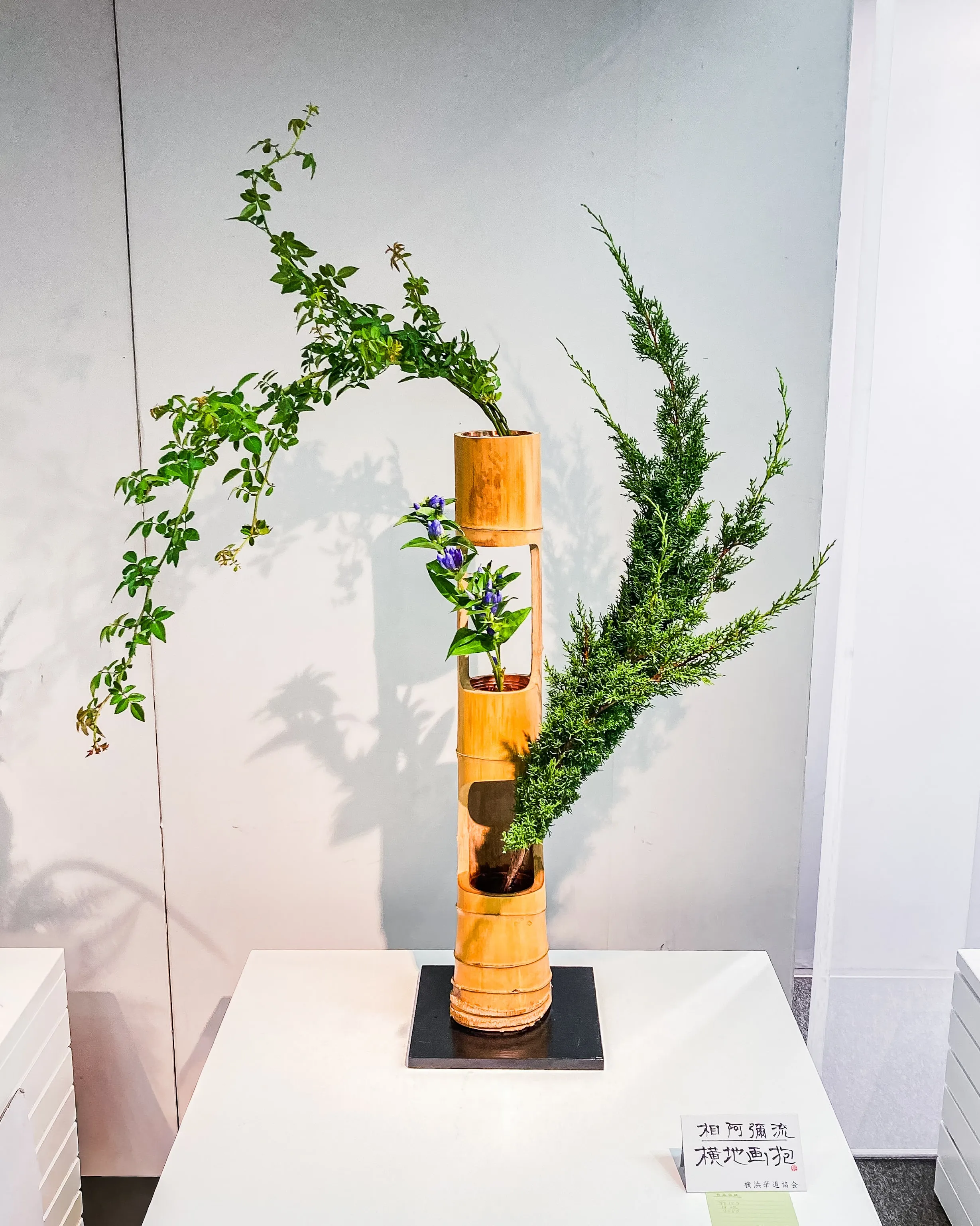 第75回神奈川県華道展(2025年8月20日~25日)に展示された華道相阿彌流(相阿弥流)家元・横地画抱のいけばな作品。三重切りの花器にイブキ・野バラ・リンドウをいけた作品。