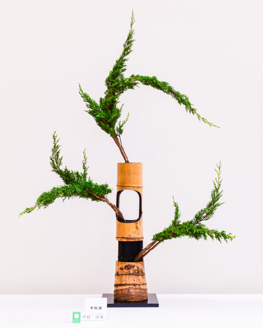 『いけばな大賞2025（第98回全日本いけばなコンクール）』格花部門に出場した相阿彌流・中村緑水の作品。竹三重切り花器に伊吹の1種いけ。準特選に入選。