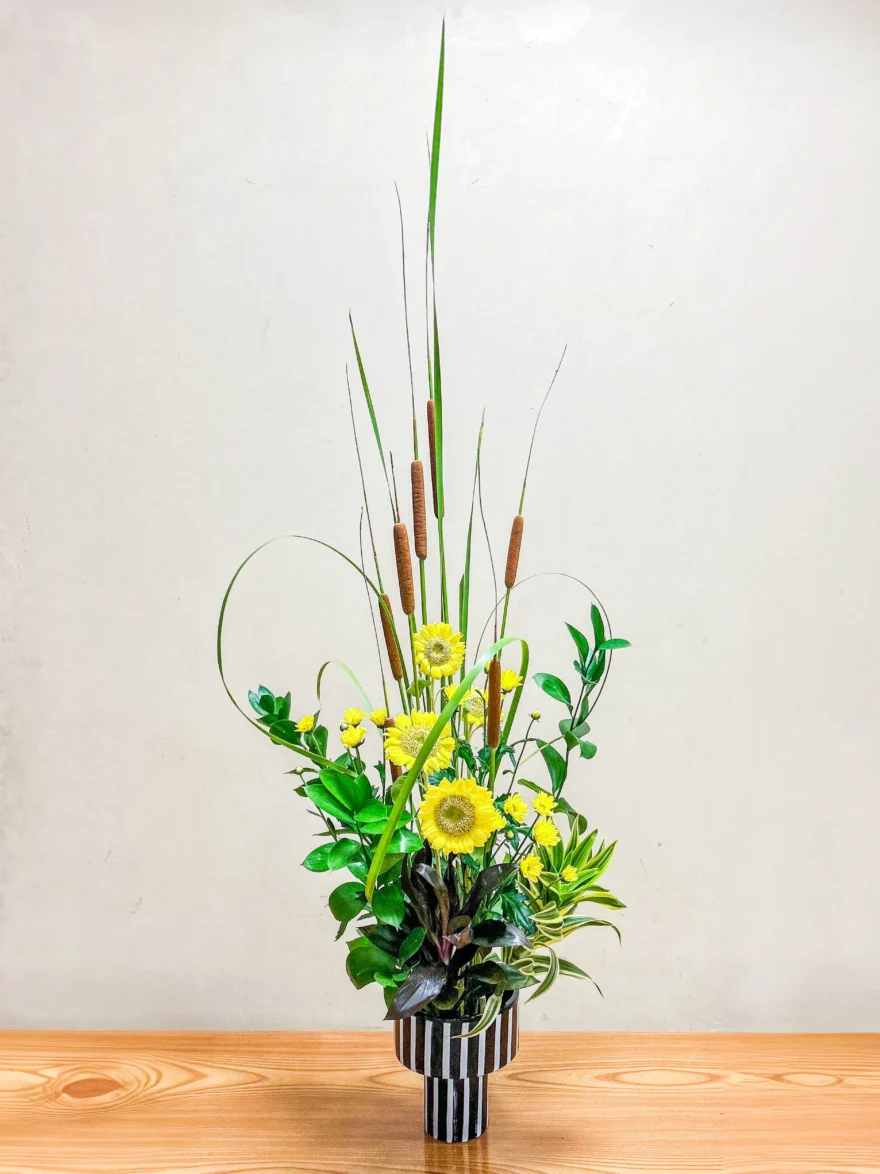 相阿彌流(相阿弥流;そうあみりゅう)の華道作品(いけばな):ヒメガマ、ヒマワリ「サンリッチフレッシュレモン」、スプレーギク、丸葉ルスカス、ドラセナ2種を用いた現代花(自由花)。東京神楽坂の家元教室日曜日クラスの生徒作品。