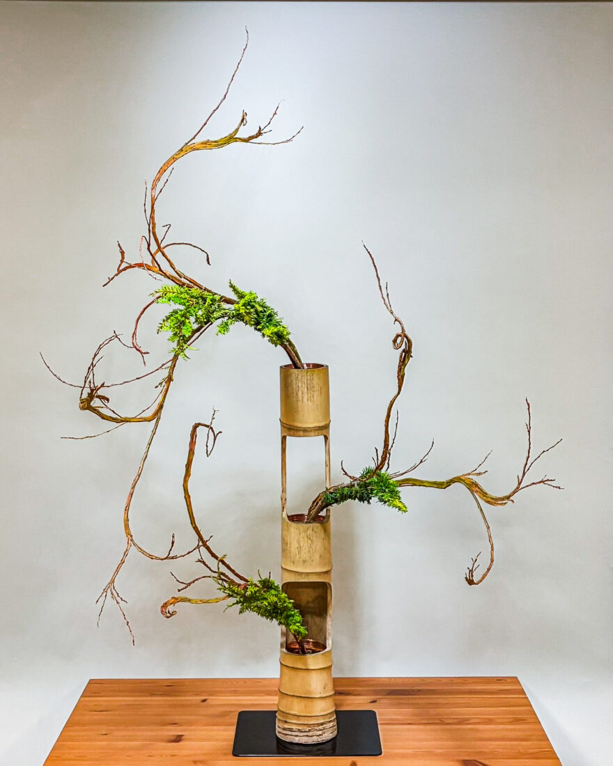 相阿彌流（相阿弥流；そうあみりゅう）の華道作品（いけばな）：石化柳と檜葉の三重切り生花（古典花）。東京神楽坂の家元教室日曜日クラスの生徒作品。